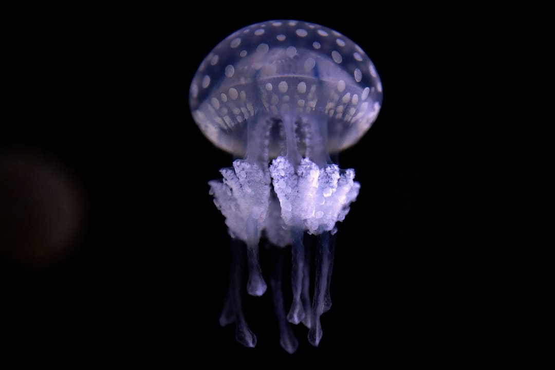 想吃碳水却怕升糖？盒马推出40多款低GI产品